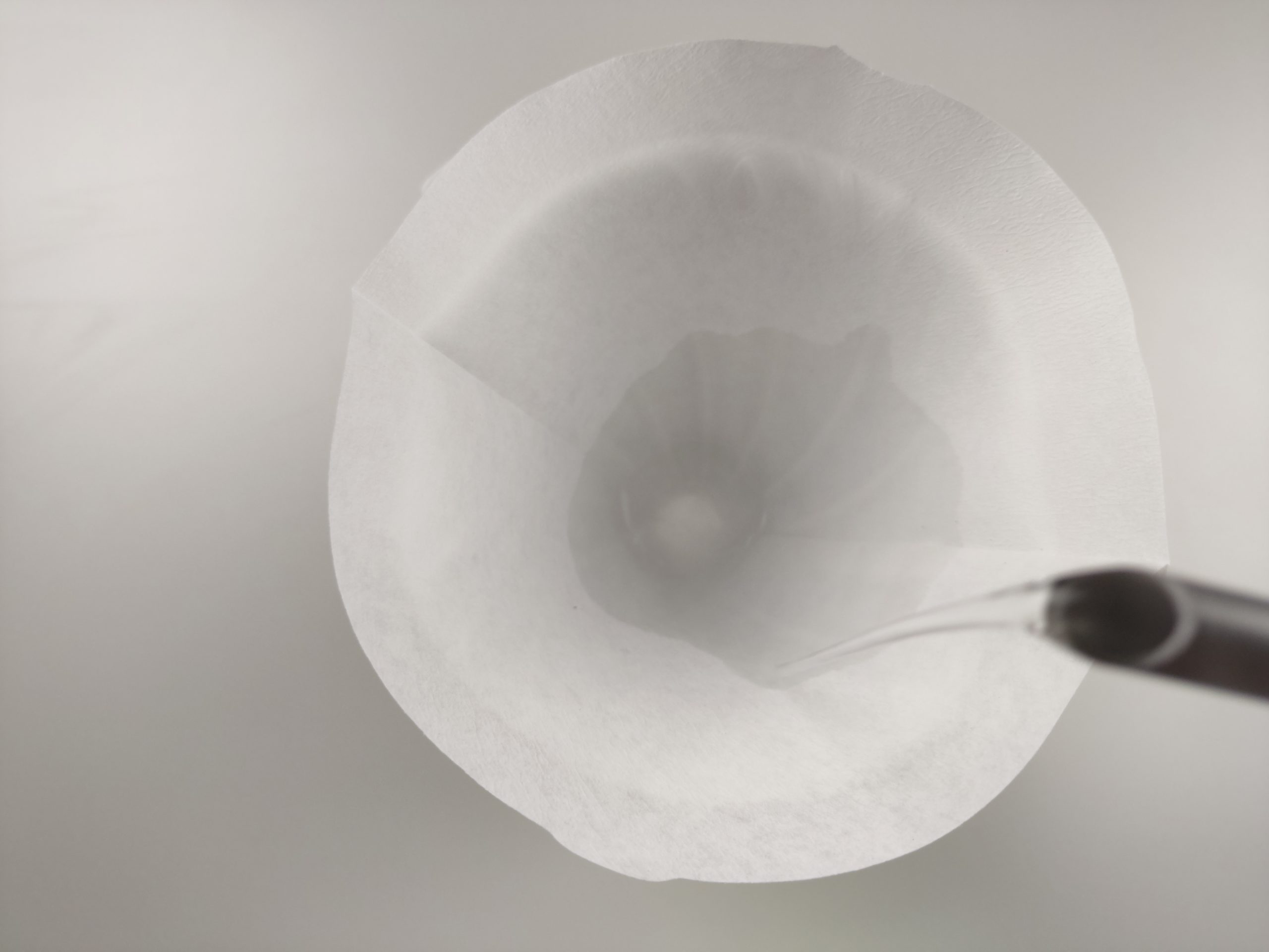 rinsing paper filter for brewing coffee