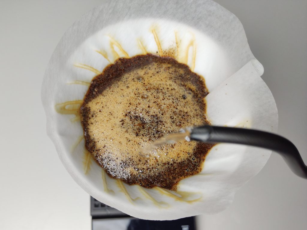coffee bloom