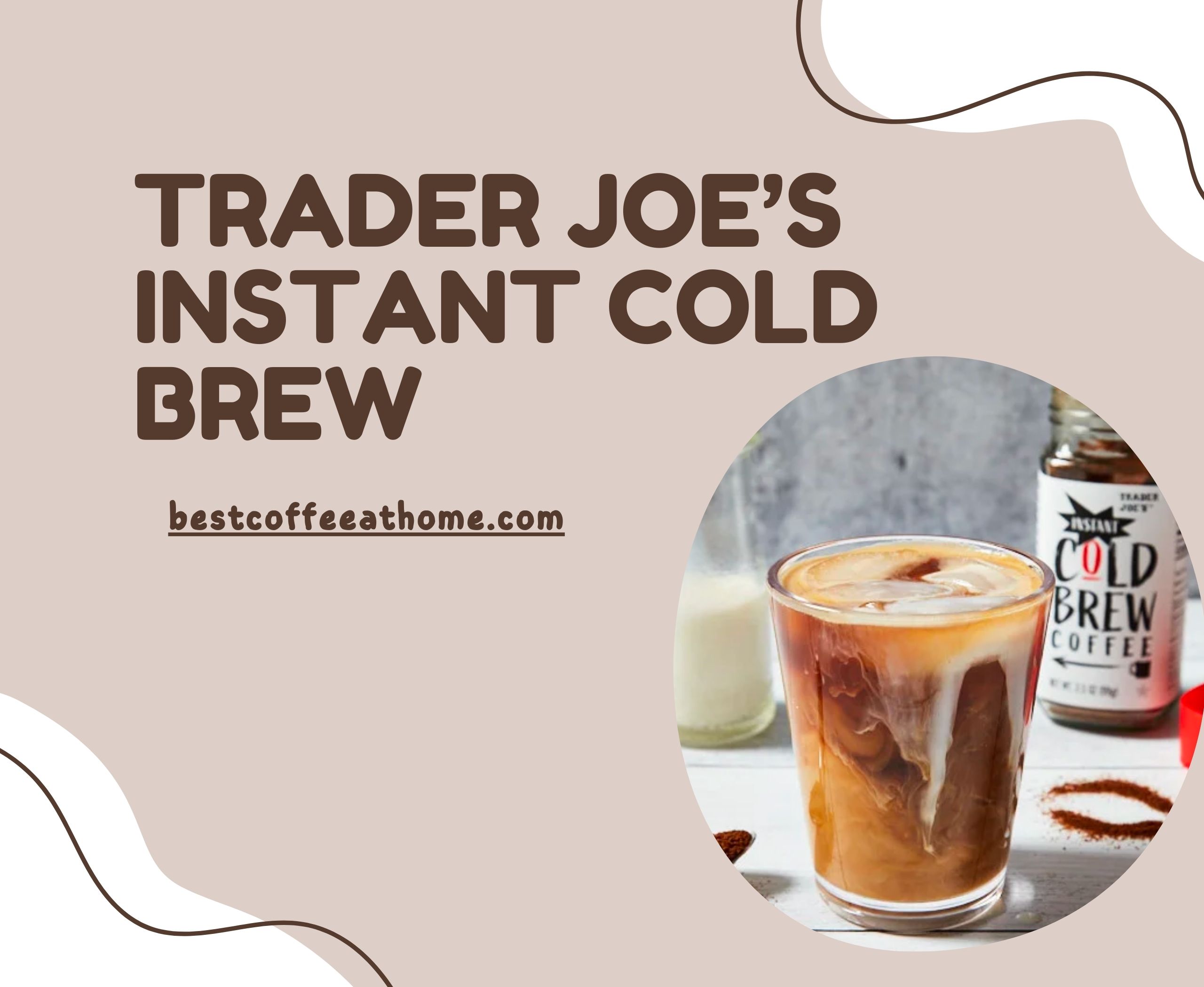 Trader Joe's Arabica Instant Cold Brew Coffee